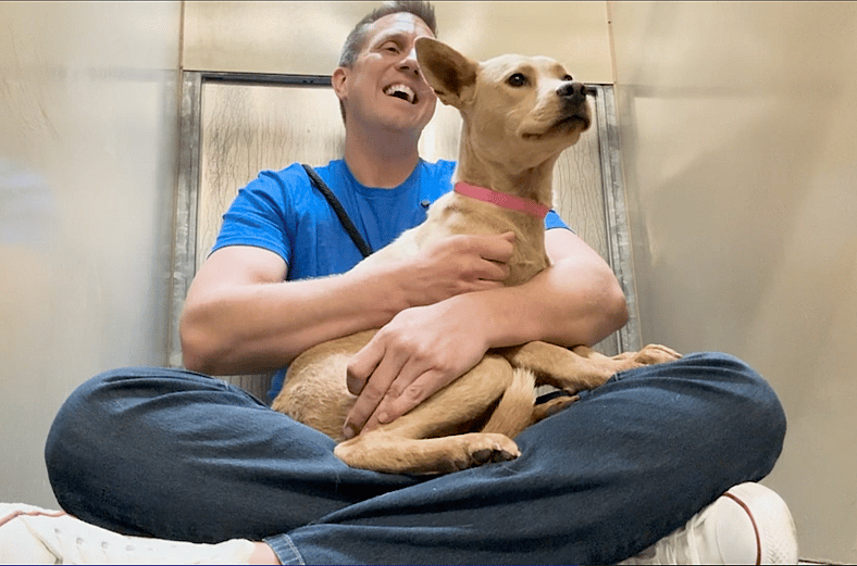 Sitting with dogs 79: Dixie